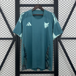 25/26 Cruzeiro training suit green