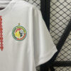 2025 Senegal Home